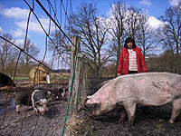 Elke Striowsky und ihre Schweine