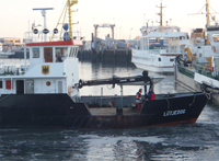 Lüttje Oog im Hafen