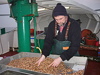 Ralf van Osten mit Leib und Seele Krabbenfischer - schon an Bord werden die Garnelen gekocht