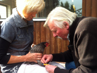 Irmgard und Reinhold mit Huhn